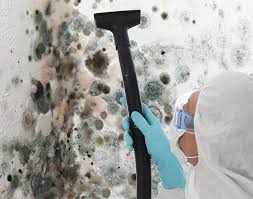 Mold Remediation for Rental Properties in Wentworth, NC